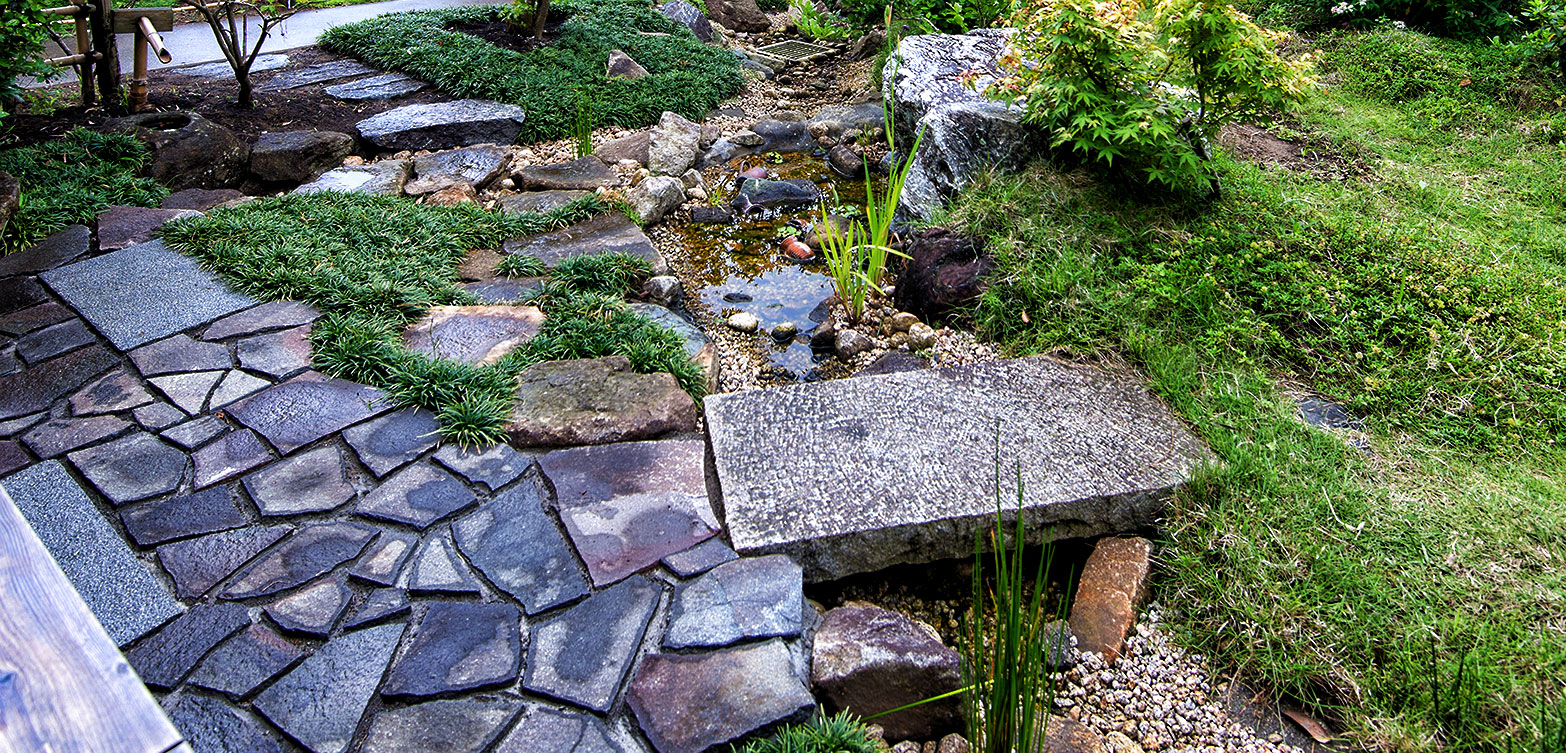 メダカが住む日本庭園